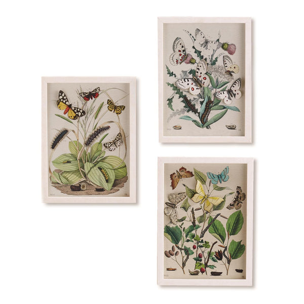 Butterfly Wall Art with 3D effect