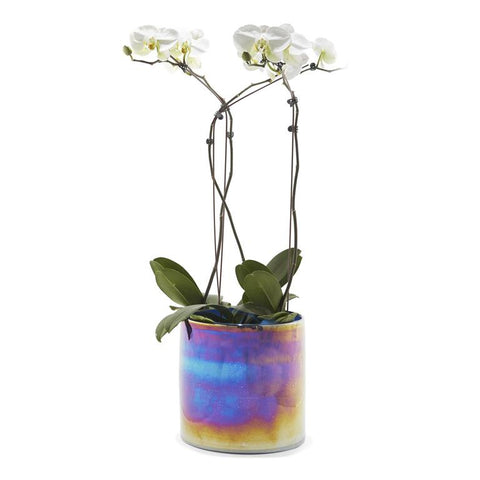 Prismatic Iridescent Hand Blown Glass Planter
