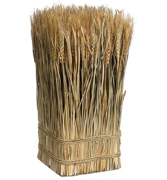 Preserved Wheat and Grass Square Tall Bundle