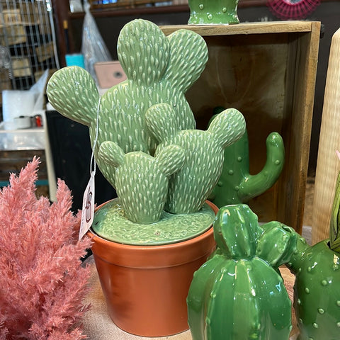Cactus Storage Jars -small